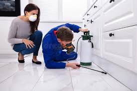 Best Residential Pest Control  in Security Widefield, CO